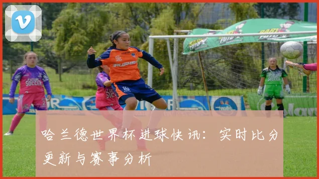 哈兰德世界杯进球快讯：实时比分更新与赛事分析
